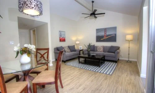 Set11Enhancer3from_IMG_7520