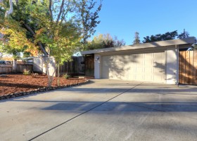 Enhancer3from_IMG_1508Set38