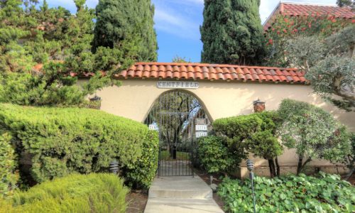 IMG_1771_2_3Enhancer