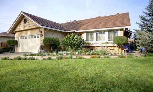 IMG_1330_1_2_3_4_5_6