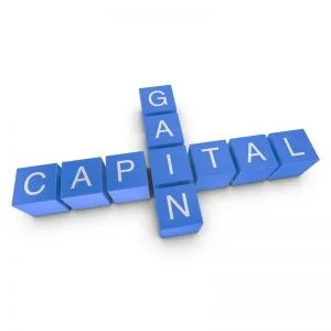 Capital Gain Crossword Concept