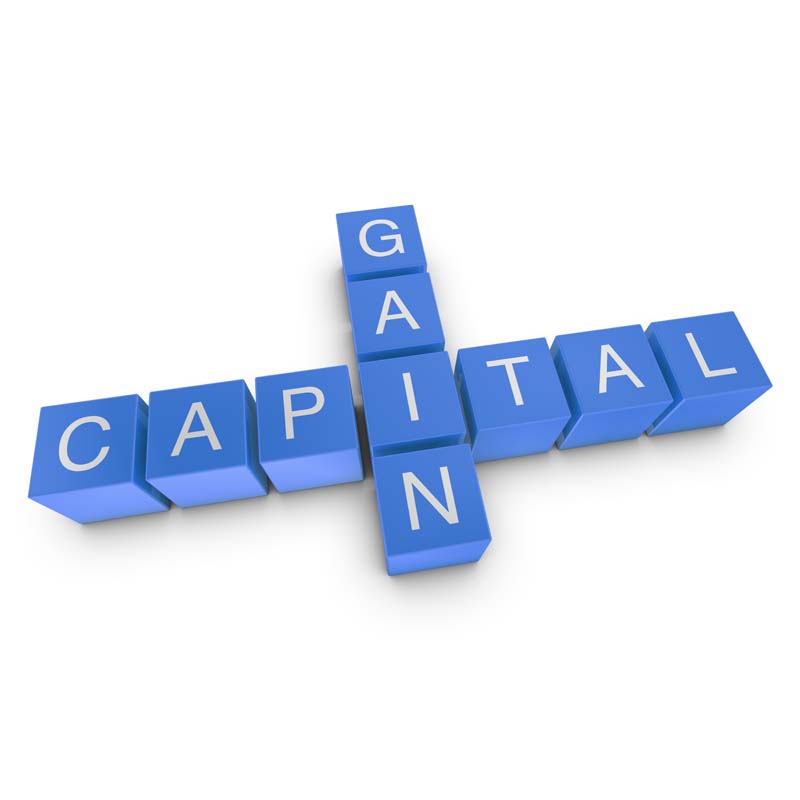 Capital Gain Crossword Concept