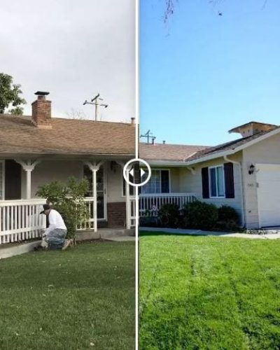 Before After - 1343 Maryann Dr